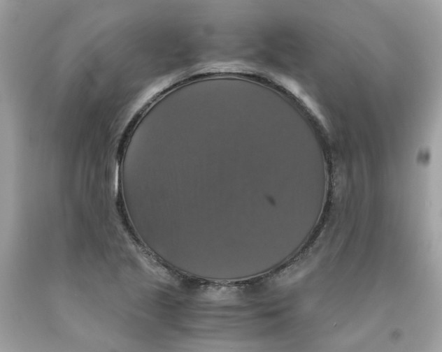 X0000091081221200709041233