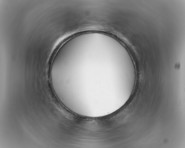 X0000091081222200709041233