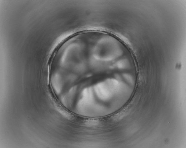 X0000091081223200709041233