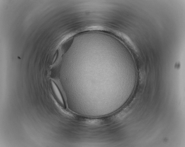 X0000091081225200709041233