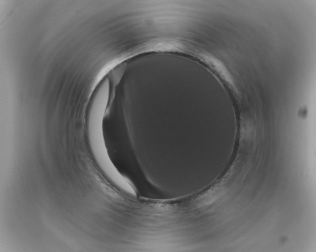 X0000091081226200709041233