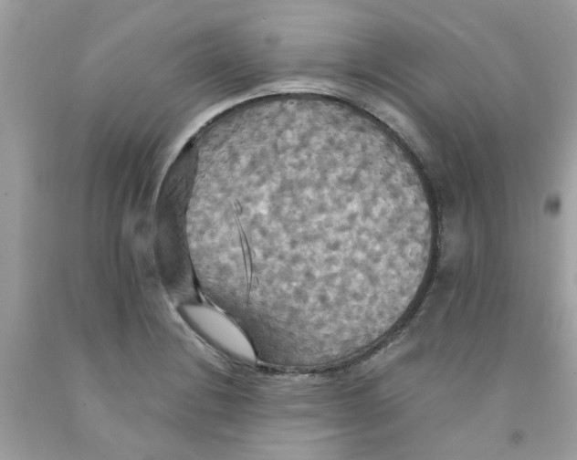 X0000091081228200709041233