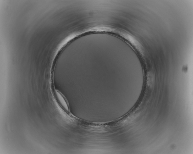 X0000091081229200709041233