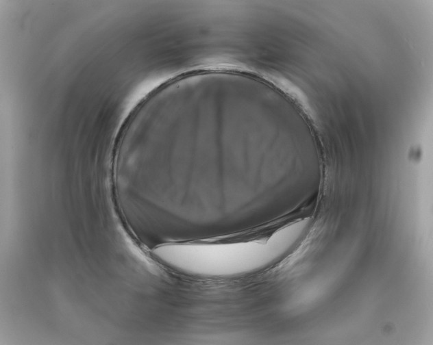 X0000091081231200709041233