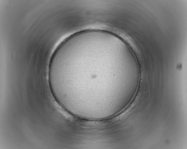 X0000091081232200709041233