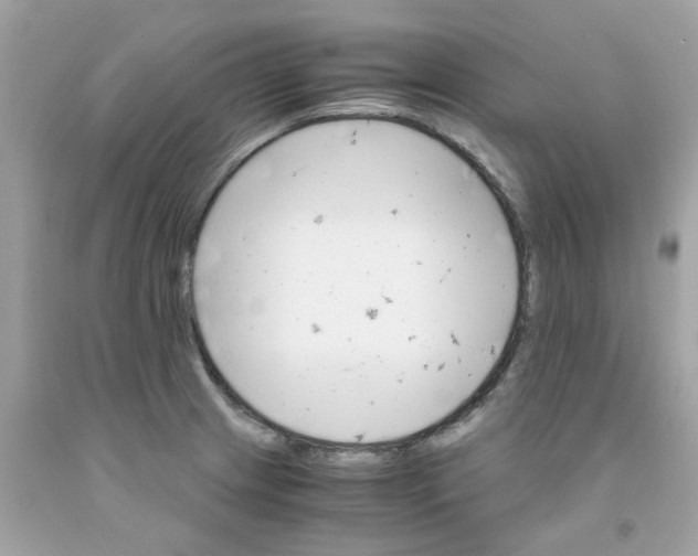 X0000091081233200709041233