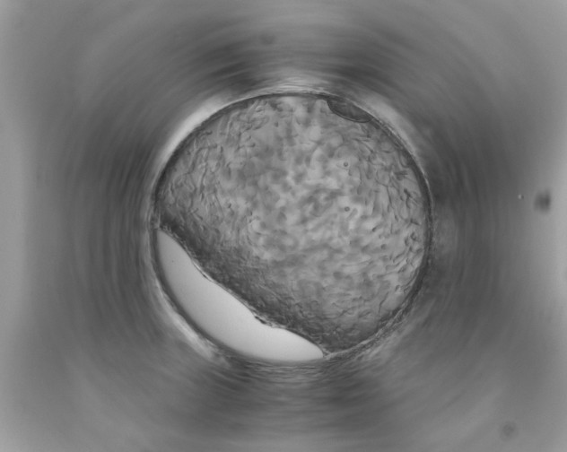 X0000091081235200709041233