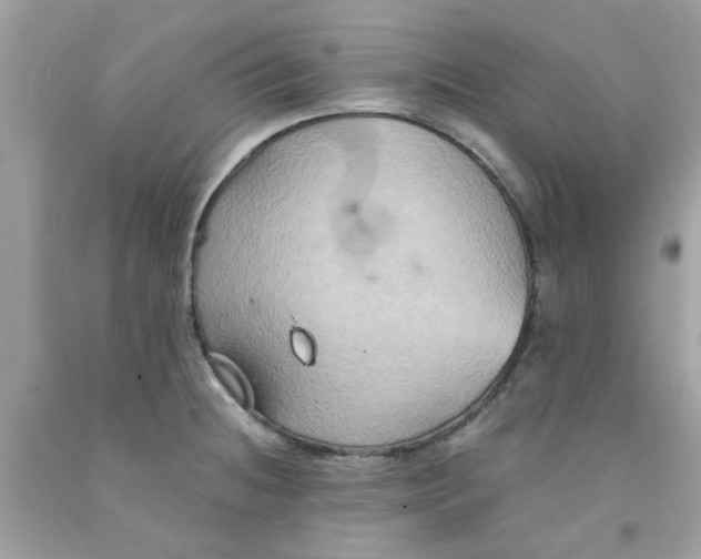 X0000091081236200709041234