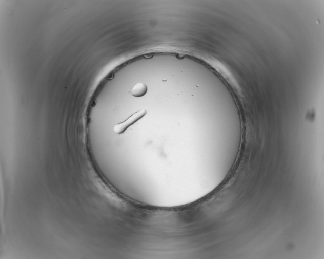 X0000091081238200709041234