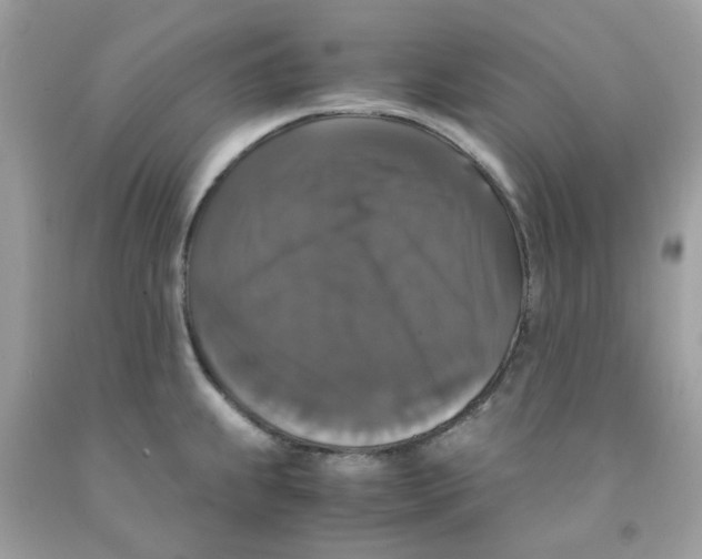 X0000091081239200709041234