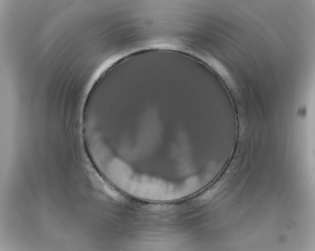 X0000091081240200709041234