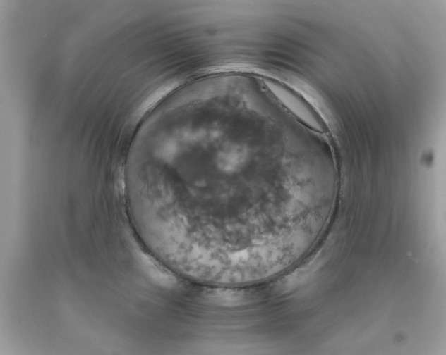 X0000091081241200709041234