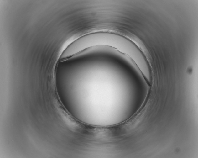 X0000091081242200709041234