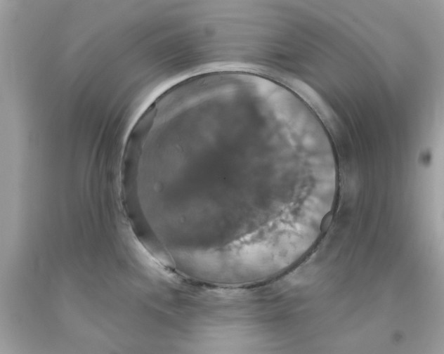 X0000091081244200709041234