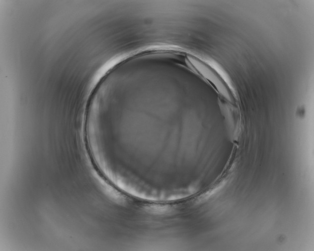 X0000091081245200709041234