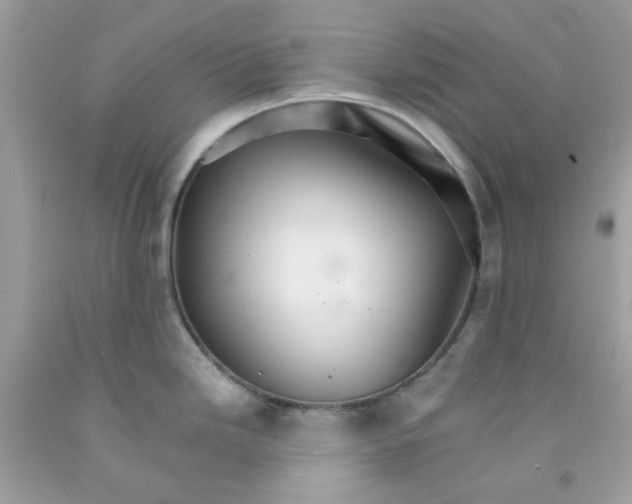 X0000091081246200709041234