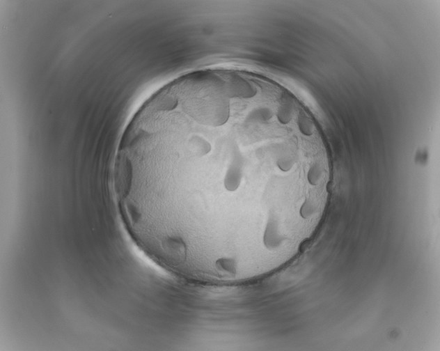 X0000091081247200709041234