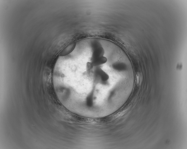 X0000091081251200709041233