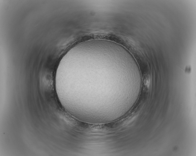 X0000091081252200709041233