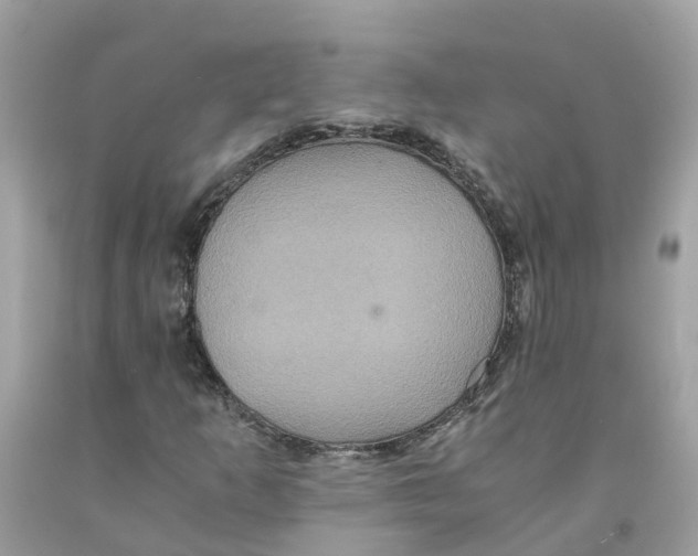 X0000091081253200709041233