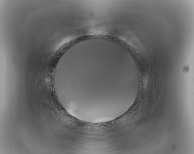 X0000091081254200709041233