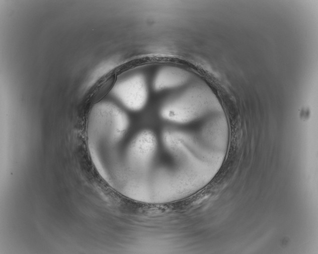 X0000091081255200709041233