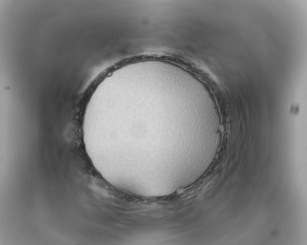 X0000091081256200709041233