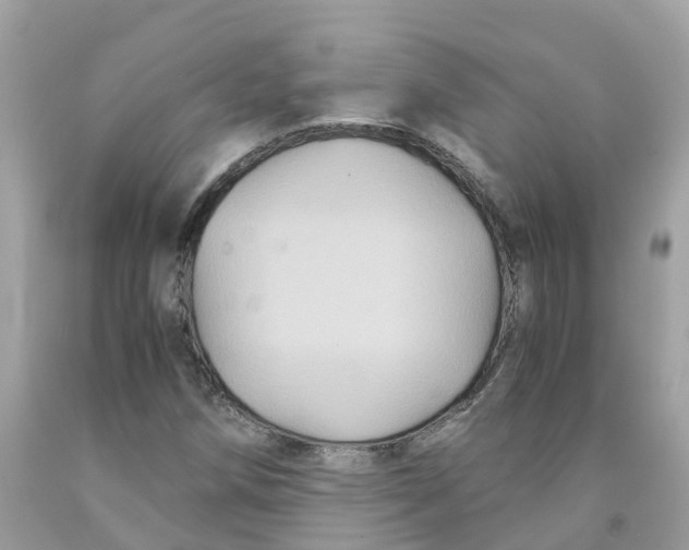 X0000091081258200709041233