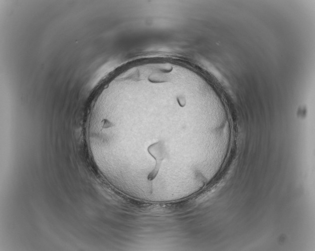 X0000091081259200709041233