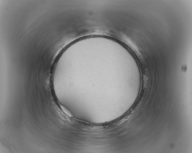 X0000091081260200709041233