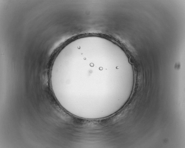 X0000091081262200709041233