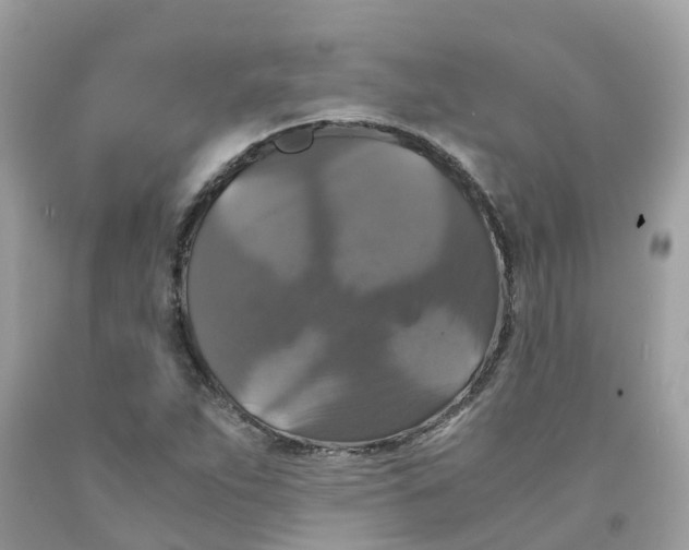 X0000091081263200709041233