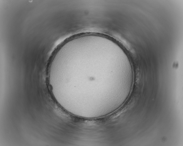 X0000091081264200709041233