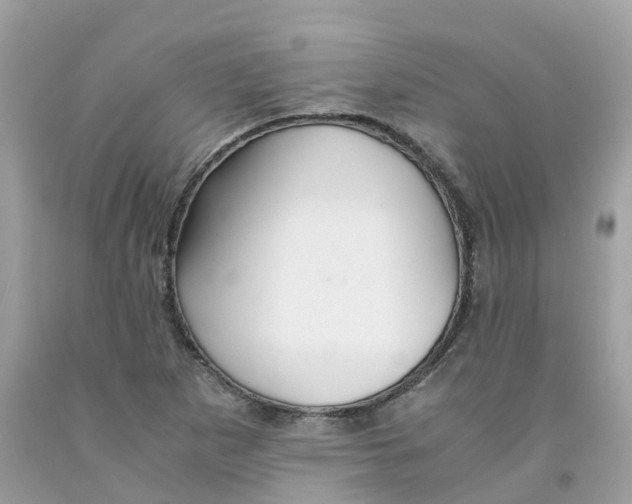 X0000091081265200709041233