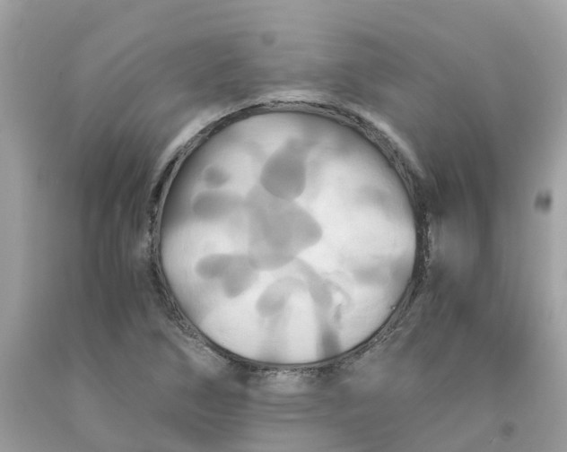 X0000091081266200709041233