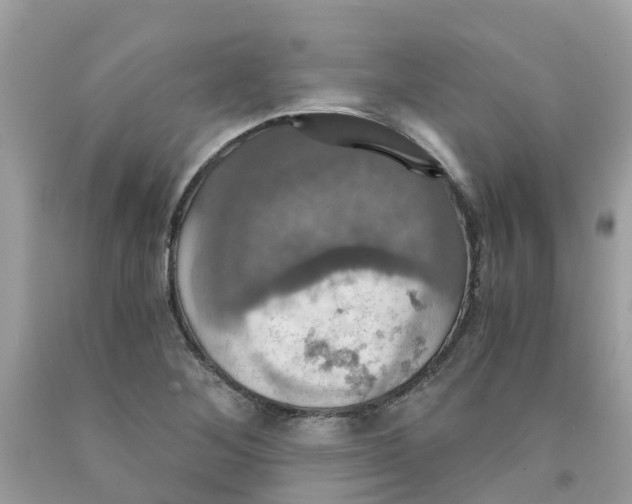 X0000091081268200709041233