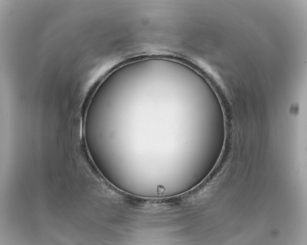 X0000091081269200709041233