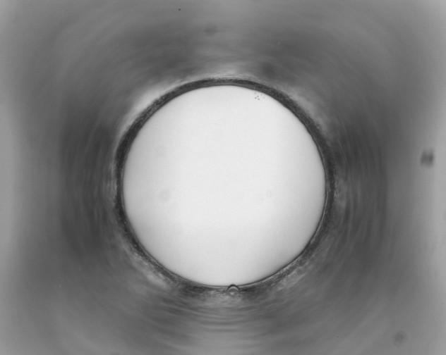 X0000091081270200709041233