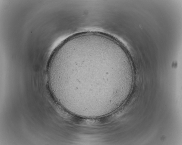 X0000091081271200709041233