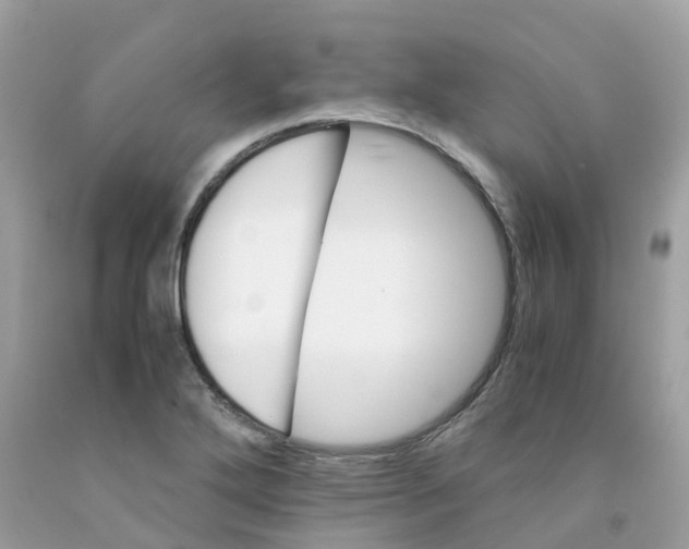 X0000091081272200709041233