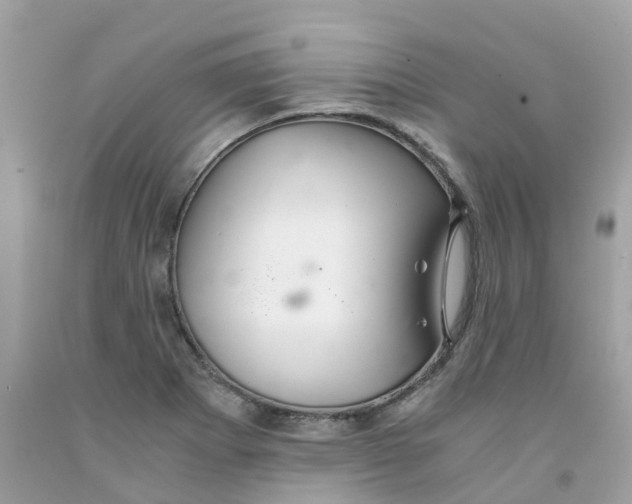 X0000091081273200709041233