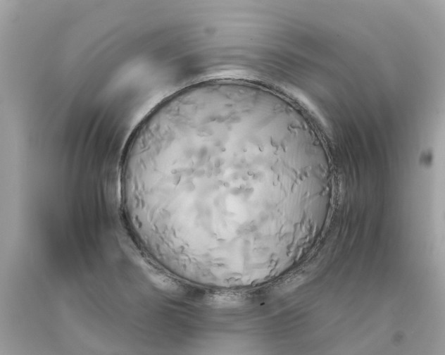 X0000091081274200709041233