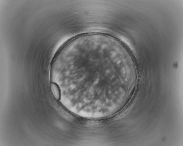 X0000091081275200709041233