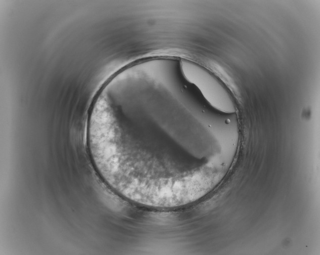 X0000091081276200709041233