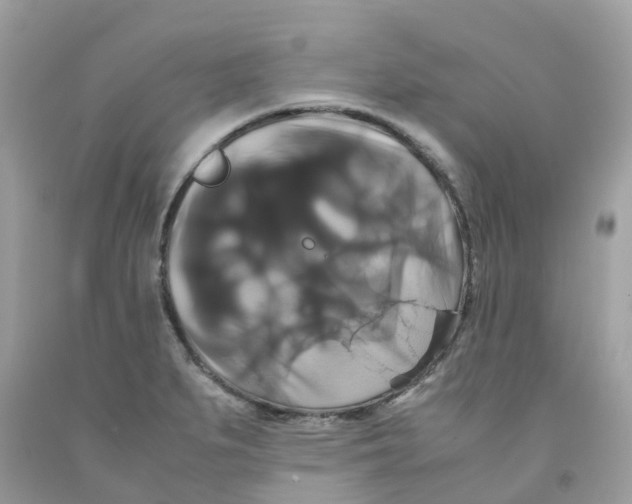 X0000091081279200709041233