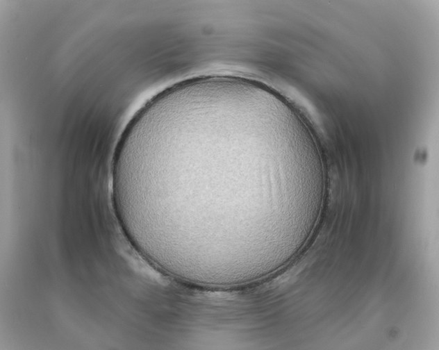 X0000091081280200709041233