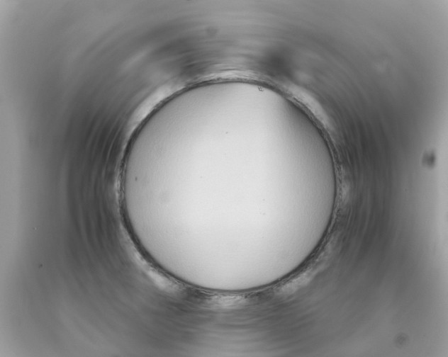 X0000091081282200709041233