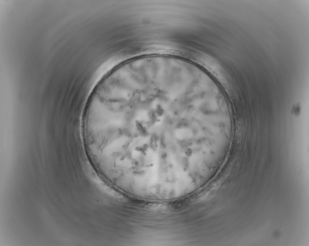 X0000091081283200709041233