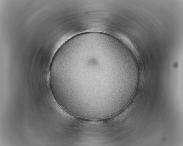 X0000091081284200709041233