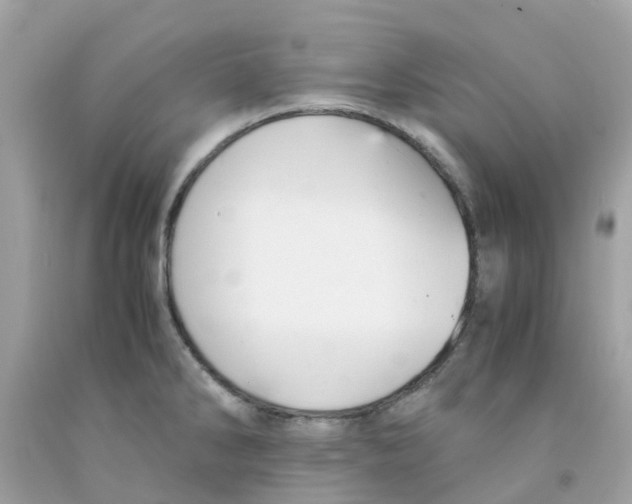 X0000091081286200709041233